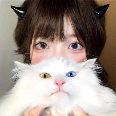 疯狂巡警